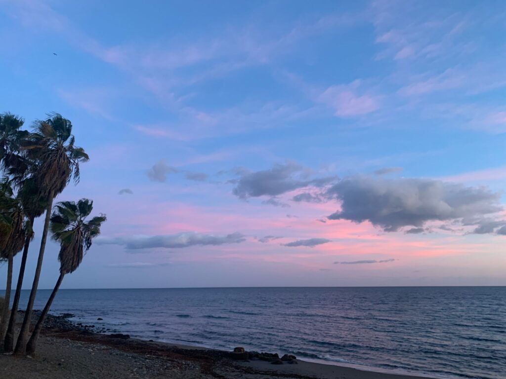 img 20240224 wa0009